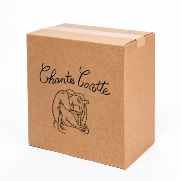 Carton 3 bouteilles
